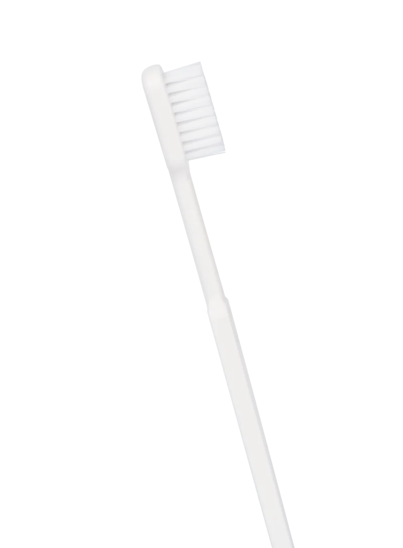 Brosse à dents rechargeable