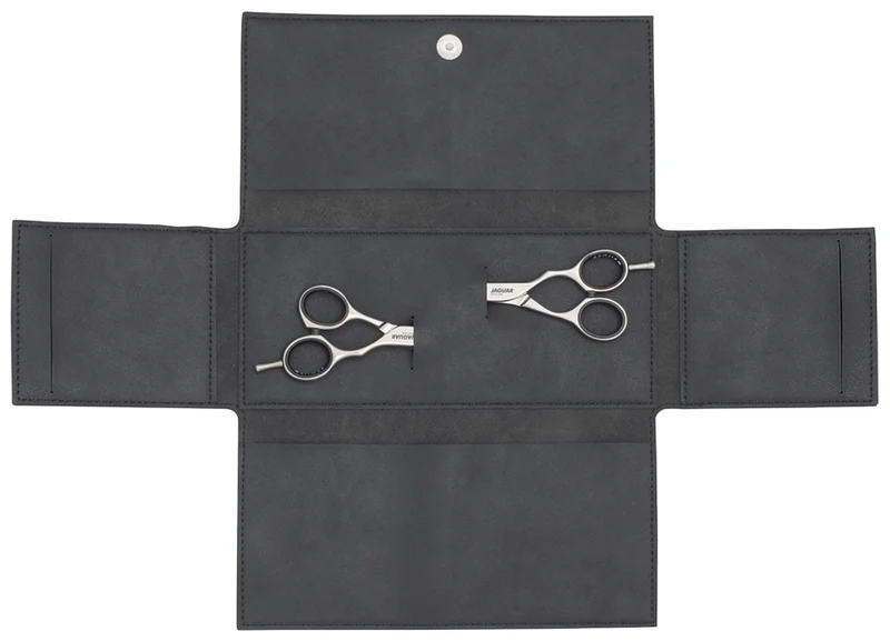 Scissors Guard