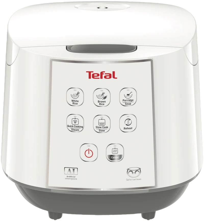 Tefal Easy Rice & Slow Cooker