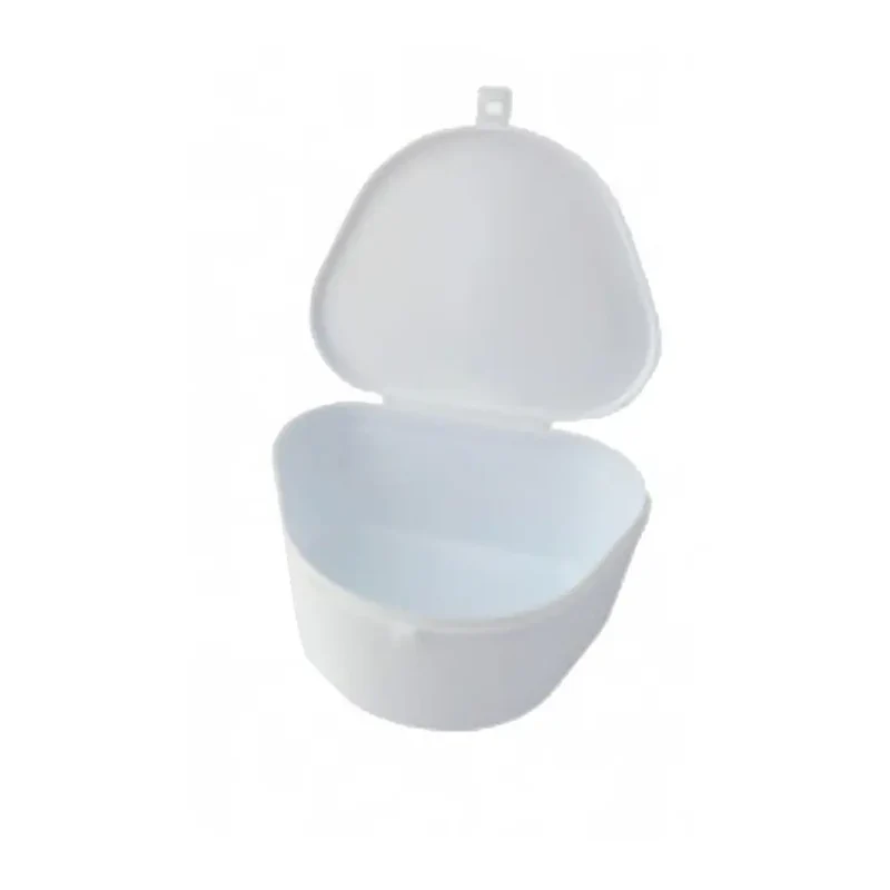 dental prosthesis container