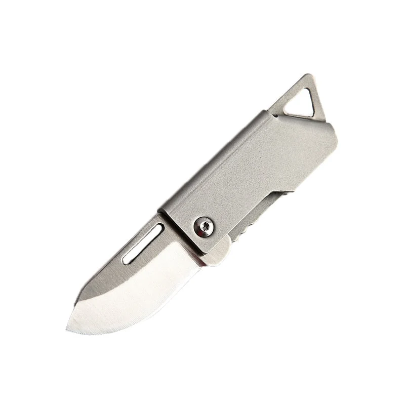 Sammenfoldeligt Master Overlevelses Mini-Kniv i Rustfrit Stål